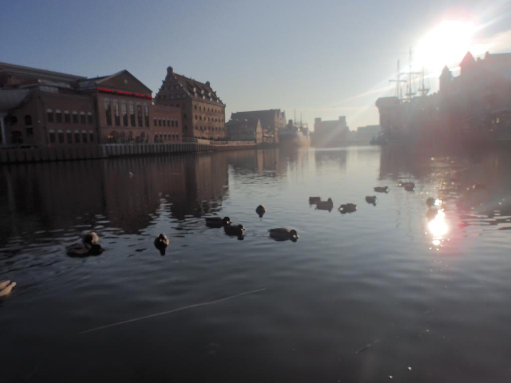 Apartament Nadmorski Gdansk Сопот Номер фото